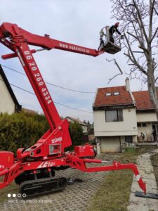 Favágás fakivágás ágdarálás Szentendre 