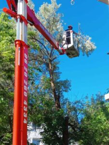 Favágás emelőkosaras favágás ágdarálás szentendre